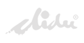 DIDU Logo